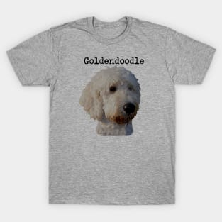 Blonde Goldendoodle Dog T-Shirt